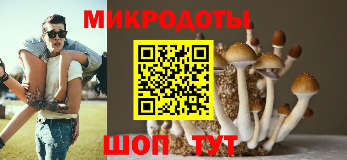 Батайск  Псилоцибиновые грибы прущие грибы  Вход с VPN 
